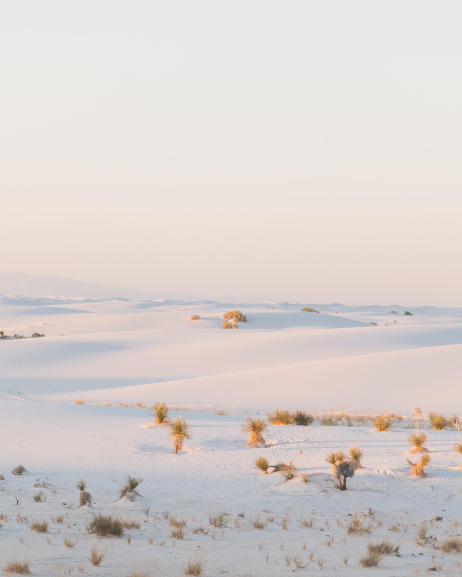 White Sands by This Christography. Image 2 of 9